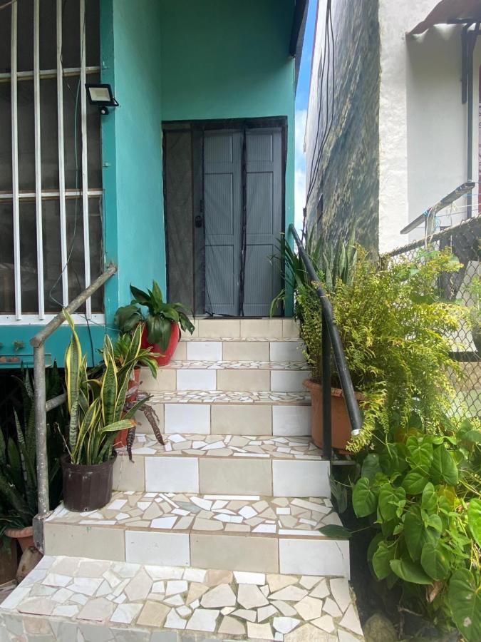 Blue Morpho House B&B Manuel Antonio Eksteriør billede